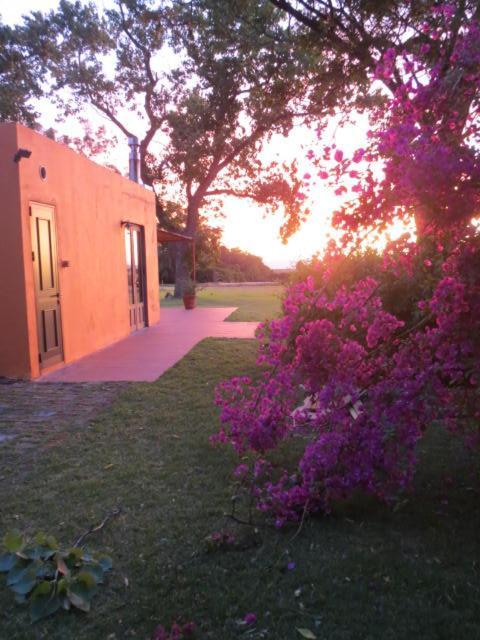 Villa La Casona De San Pedro Colonia del Sacramento Esterno foto
