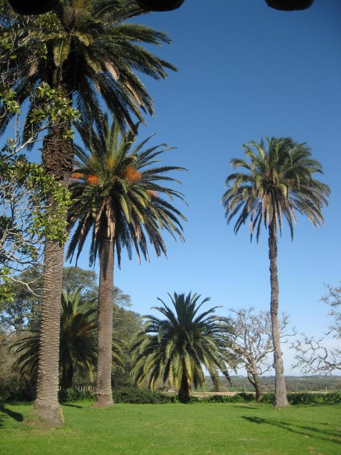 Villa La Casona De San Pedro Colonia del Sacramento Esterno foto